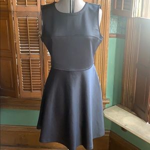 Shiny fit and flare dress